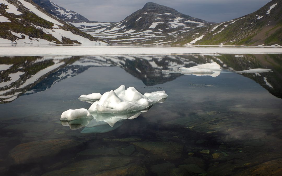 Polar Wander and The Global Tectonics