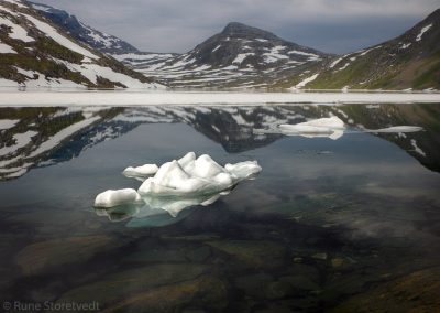 Polar Wander and The Global Tectonics